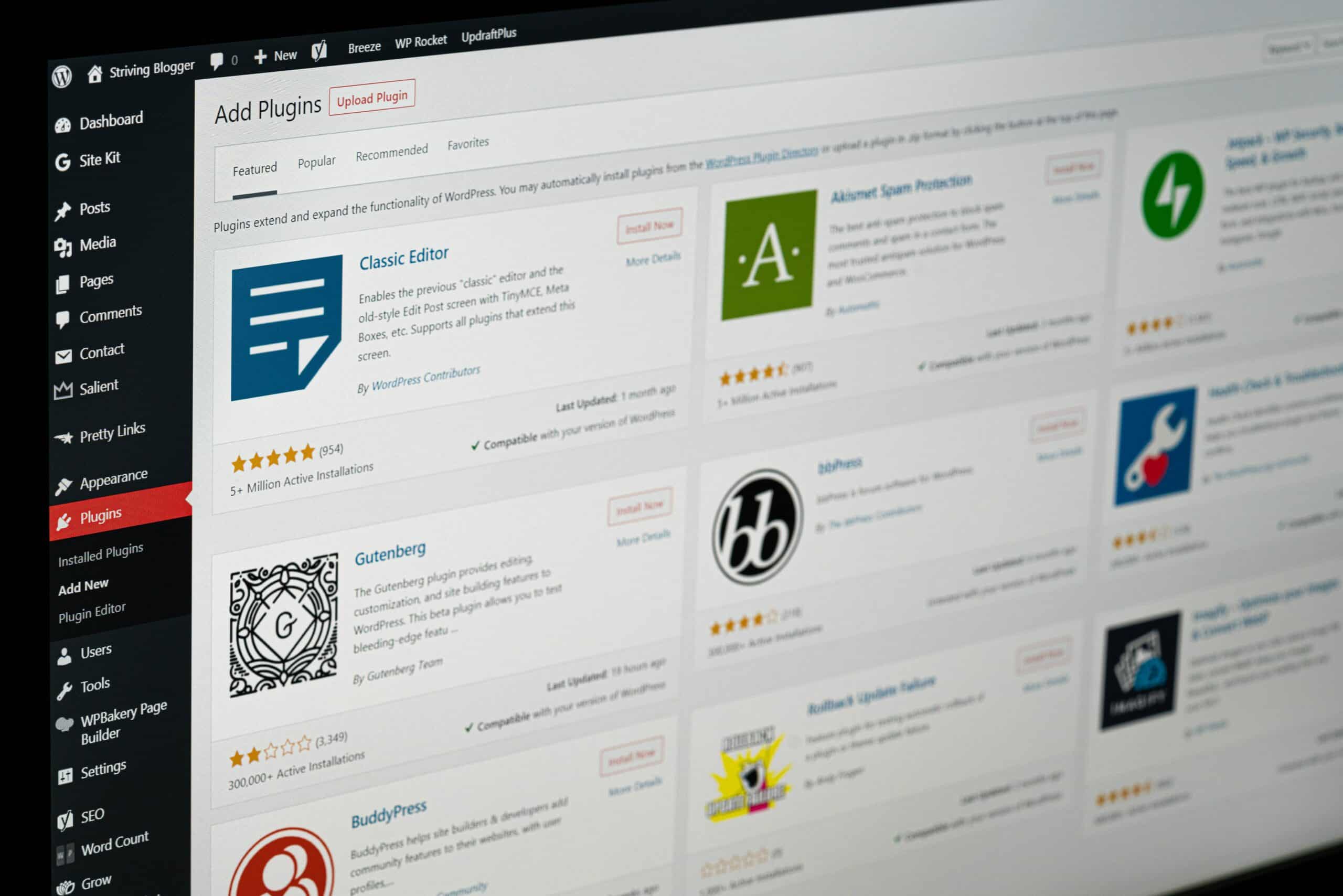 Custom WordPress plugin development services