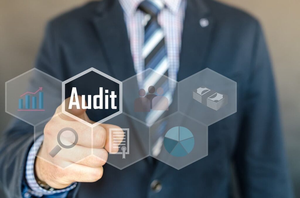 WordPress rescue and website audit services